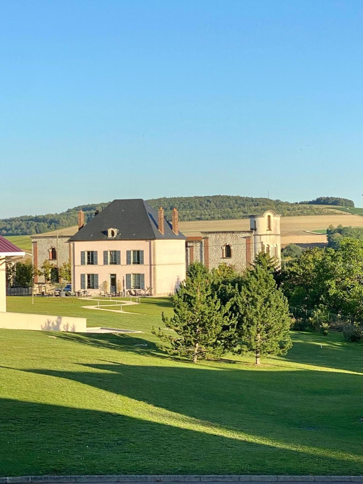 Villa Eulalie - Champagne Edouard Duval B&B Guest House Nestled In The Champagne Area Bligny 외부 사진